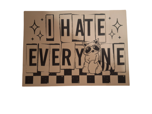 I hate everyone racoon