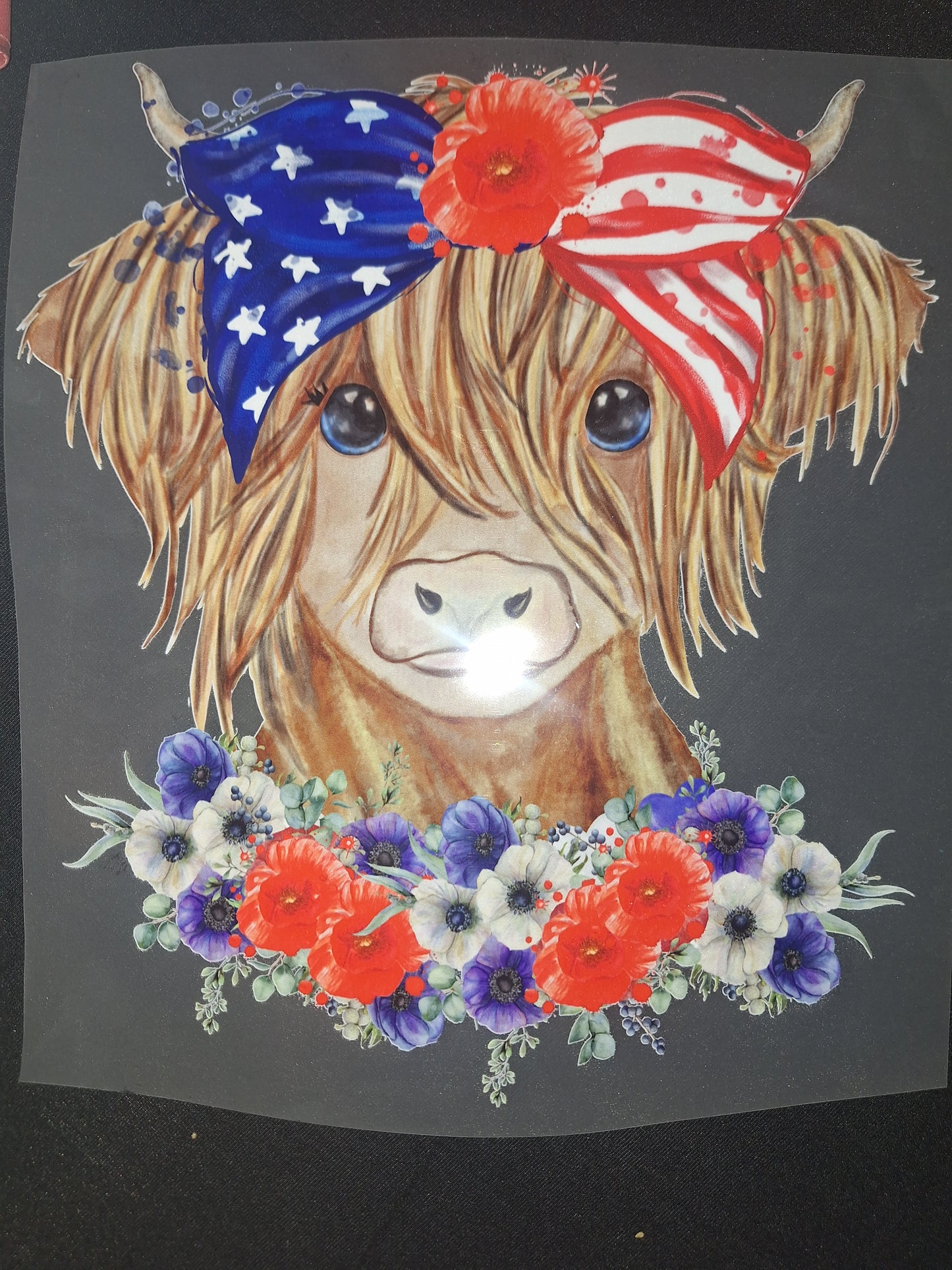 Cow with American flag headband