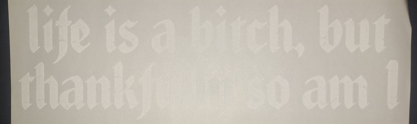 Life is a bitch thankfully so am I