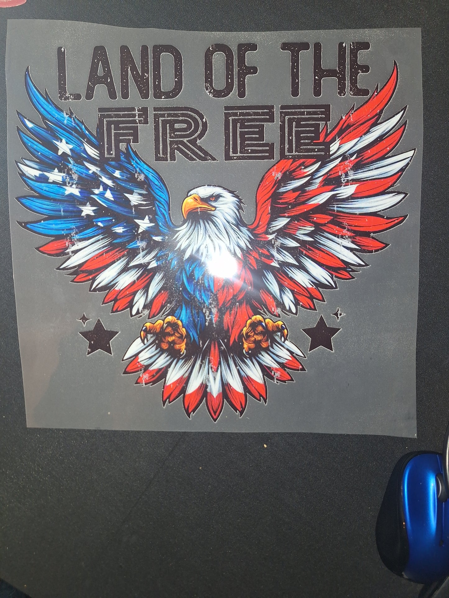 Land of the free with flag eagle