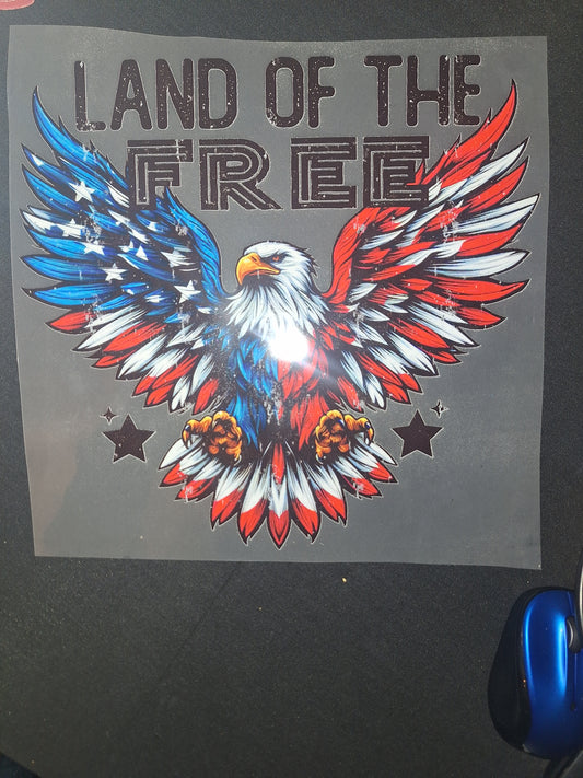 Land of the free with flag eagle